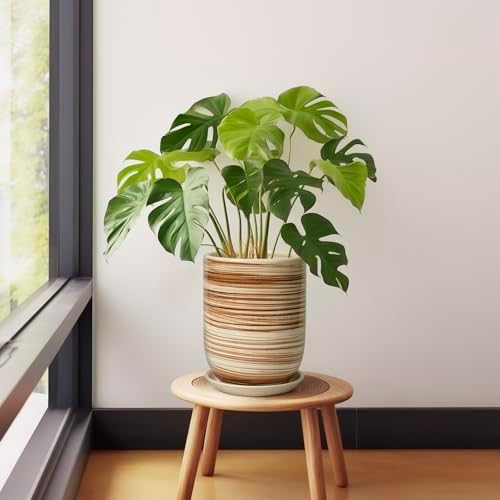 8 Inch Plant Pot, Ceramic Planter for Outdoor Plants, Large Plant Pot Indoor with Drainage Hole and Saucer, Modern Flower Pot for Home Garden Decor Yellow - Image 5