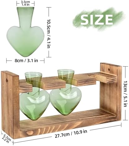Plant Terrarium Propagation Stations Hydroponics - Image 4