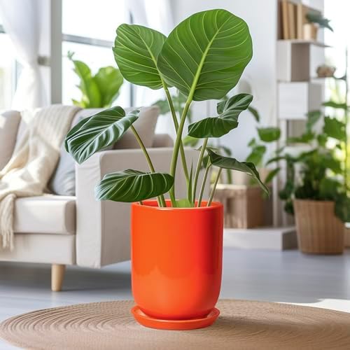Ceramic Planter - 8 Inch Plant Pot with Drainage Hole and Saucer, Cylinder Round Modern Flower Pot for Indoor Outdoor Plants, Plant Lover Gifts, Garden Office Home Decor, Orange - Image 2