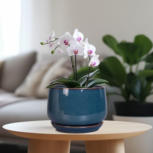 G EPGardening Ceramic Pot for Plants - Modern 7 Inch Round Planter with Drainage and Tray Indoor Outdoor for Flower, Porch Decor, Gardening Gifts, Retro Blue - Image 2