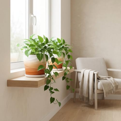 6 Inch Ceramic Plant Pot(6.7 in Diameter,2 Pack) - Image 6