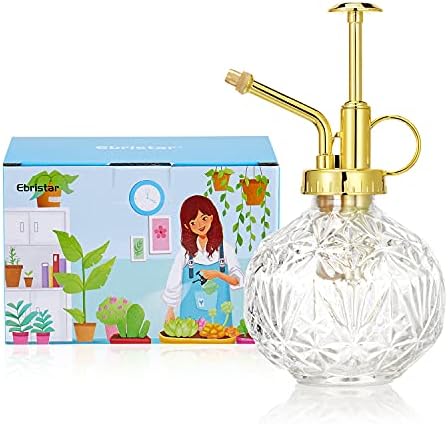 Glass Plant Mister Water Spray Bottle, Succulent Watering Bottle with Plastic Top Pump, 200 ML Capacity Vintage Style Plant Sprayer, Small Watering Can for Indoor Outdoor House Plants - Clear by Ebristar