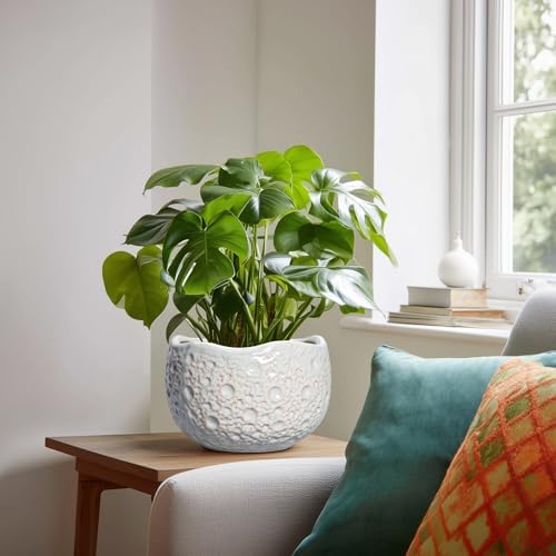 Ceramic Pots for Plants, 8 Inch Planters for Indoor Plants, Grey - Image 2