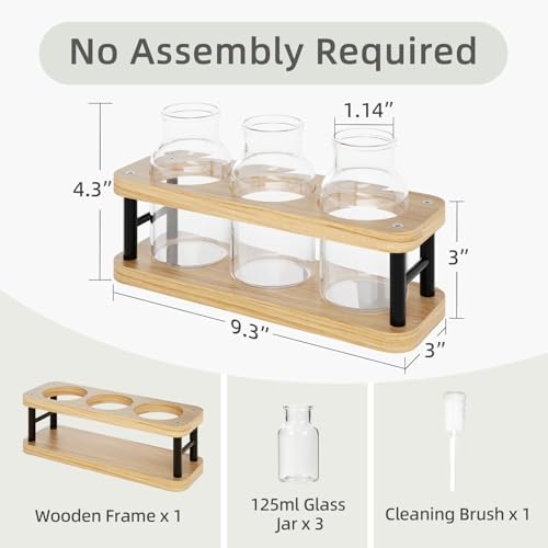 THYGIFTREE Plant Propagation Station with Wooden Stand, Propagation Vases Glass Planters for Indoor Plants Hydroponic Propagating Jars Home Office Decor, Plant Lover Gifts - Image 5