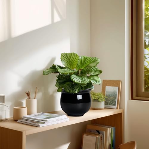 Ceramic African Violet Self Watering Pots, 6 Inch Self Watering Plant Pot with Absorbent Inner Pot, Flower Pots for Indoor Plants, Round Ceramic Planter, Home Decor, Plant Lover Gifts, Black - Image 7