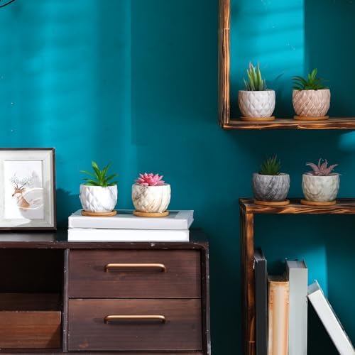 Ziliny Marbling Ceramic Flower Pot 3.35 Inch Succulent Small Plant Cactus Herbs Planter Ceramic Pot with Drainage Hole Matte Round Container(6 Pcs,Elegance Style) - Image 6