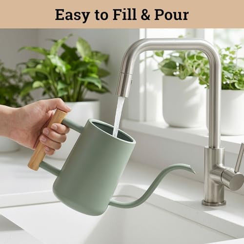 Metal Small Indoor Watering Can with Long Spout & Real Wood Handle, 35oz - Image 4