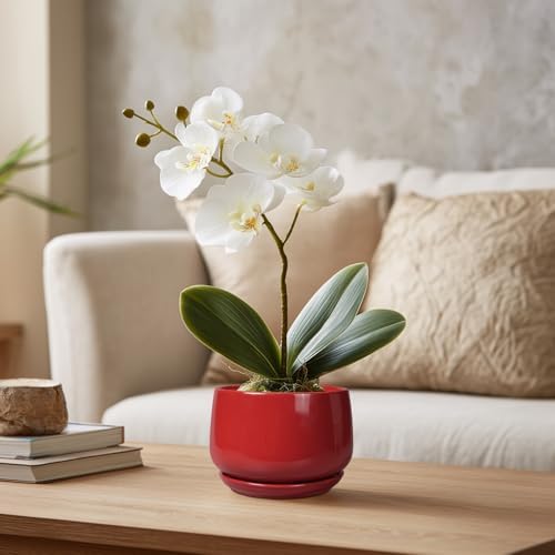 G EPGardening Ceramic Pots for Plants - 4 inch Succulent Pots Indoor Outdoor, Small Planter with Drainage Hole & Tray, Modern Flower Pot, Decorative Round Planter, Living Room Decor, Home Gifts, Red - Image 5