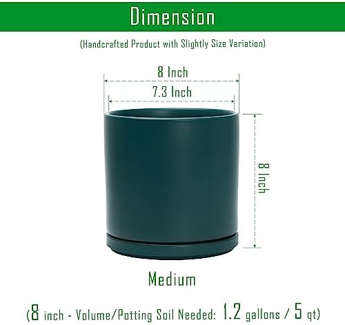 D'vine Dev 2-Pack Ceramic Pots with Saucers, Teal, 8 in, 94-V-D-9 - Image 3