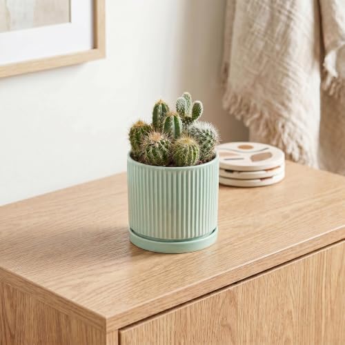 Ceramic Plant Pots, 4 Inch Pots for Plants with Tray, Mint Green - Image 5