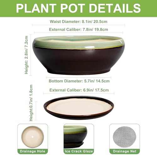 SQOWL Bonsai Pots 8 Inch - Ceramic Succulent Planters with Drainage Hole and Tray, Round Shallow Planter for Indoor Plants, Ceramic Planter Bowl Outdoor, Living Room Decor, Garden Gift, Green-Brown - Image 2