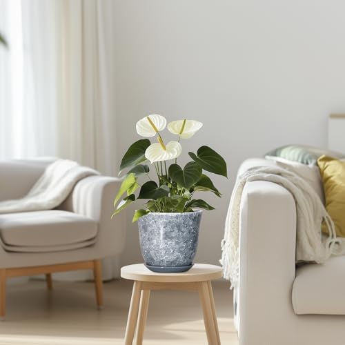 Ceramic Planter, 6 Inch Plant Pot for Indoor Plants, Grey - Image 7