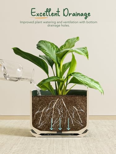 LE TAUCI Ceramic Pots for Plants, 6.8 Inch Plant Pots with Drainage Hole & Saucer, Modern Planter for Indoor Plants, Stable & Durable, Perfect for Living Room or Office Decor, Forest Green - Image 2