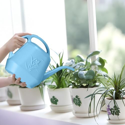 Plant Watering Can - 1/2 Gallon - Sky Blue - Image 6