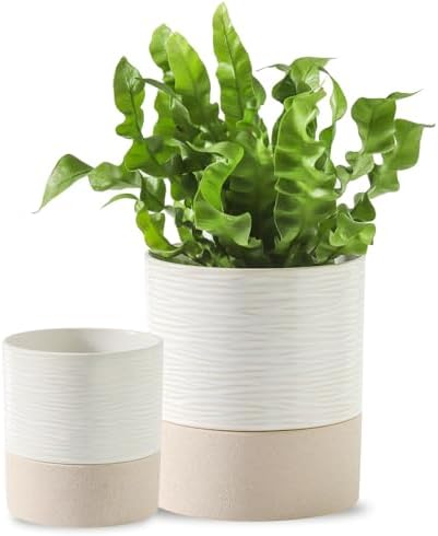 Nihow Ceramic Self Watering Plant Pot for Indoor Plants, 4.5+6 Inch by Nihow