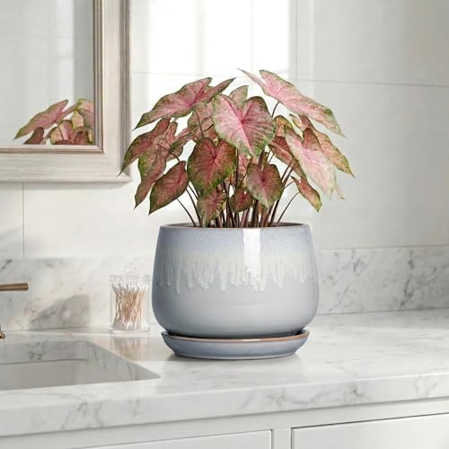 7 Inch Planter Indoor, Ceramic Pots for Plants, Grey-White - Image 6