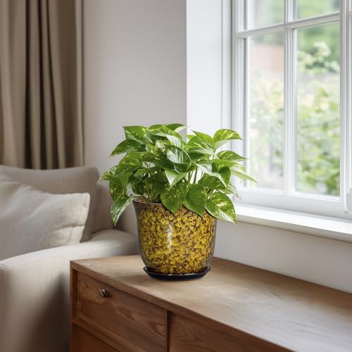 Ceramic Plant Pots - 5.6 Inch Planter with Drainage Hole and Saucer, Succulent Orchid Pots for Indoor Outdoor, Small Round Flower Pot, Room Window Office Decor, House Warming Gifts, Yellow - Image 5
