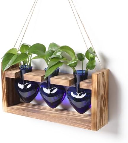 Plant Terrarium Propagation Stations Hydroponics by MTsigns
