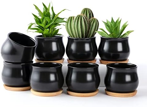 SHECIPIN 8 Pack Succulent Plant Pot, Matte Black Mini 2.6 inch Ceramic Flower Planter Pot with Bamboo Tray, Small Pots for Plants, Plants Not Included by SHECIPIN