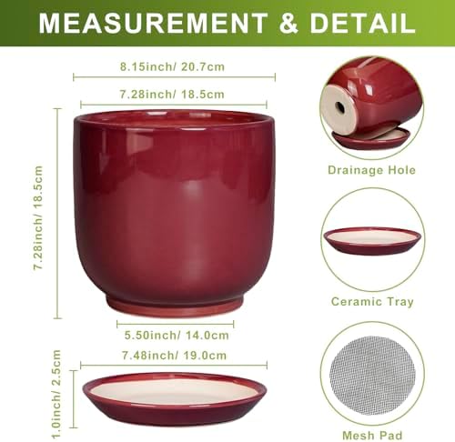 Ceramic Flower Pot for Plants - Cylinder Modern 8 Inch Plant Pot Indoor with Drainage Hole and Saucer, Home Office Room Porch Decor, Red - Image 3