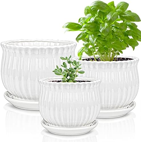 Yesland 3 Pack Ceramic Planter Pots, 3.9"/5.3"/6.7" Modern Round Flower Pots with Drainage Holes & Saucers, Small Indoor Planters for Succulent Cactus, Home Decor Gift by Yesland