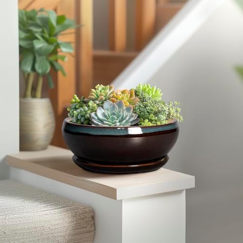 SQOWL Succulent Planters 8 Inch - Ceramic Bonsai Pots with Drainage Hole and Ceramic Saucer, Round Shallow Planter for Indoor Plant, Bowl Planter Outdoor, Desk Decor, Gift for Plant Lover, Blue-Brown - Image 6