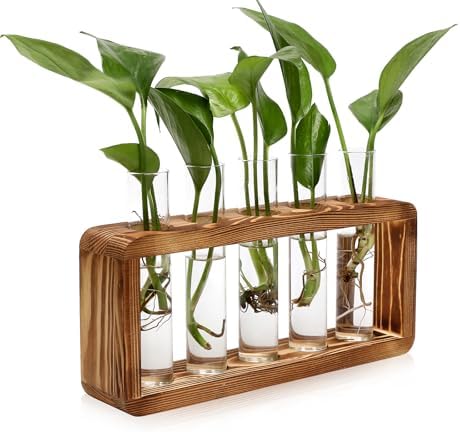 Glass Plant Propagation Station with 5 Test Tubes Colorful Planter Vase by YYHglass