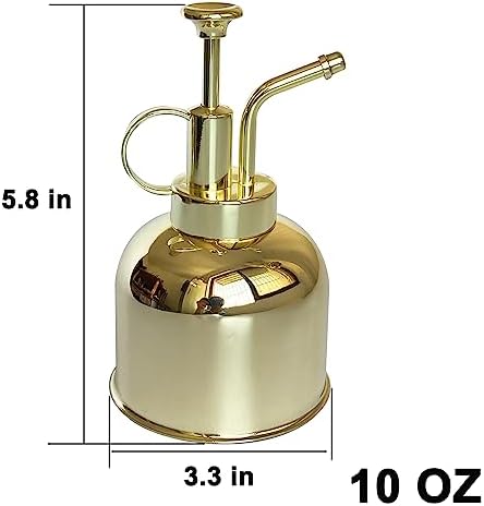 Stainless Steel Plant Sprayer, Small Watering Can Modern Gardening Tool for Indoor Potted Plants Watering and Spraying - Image 2