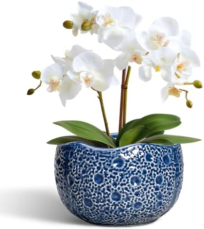 Orchid Pot - 6 Inch Ceramic Plant Pot for Indoor Outdoor, Round Unique Planters with Drainage Hole, Modern Round Decorative Flower Pots, Home Decor, Gifts for Plant Lovers, Blue by Thirtypot