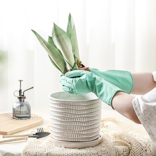 8 Inch Ceramic Plant Pot with Drainage Hole & Separate Saucer - Image 4