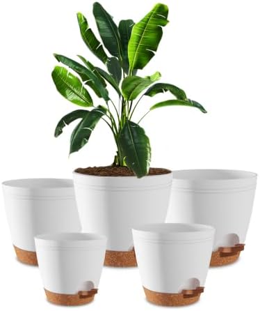 Utopia Home Self Watering Pots for Indoor Plants 6.8"/6.4"/5.9"/5.5"/4.9" Set of 5, Planters for Indoor Plants, Small Multi-Size Flowerpot, Plant Pots with Drainage & Reservoir (White) by UTOPIAHOME