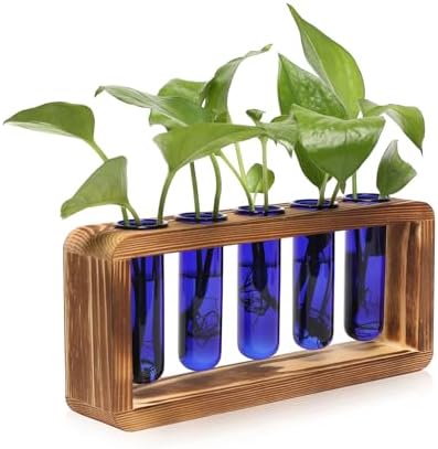 Glass Plant Propagation Station with 5 Test Tubes Colorful Planter Vase by YYHglass