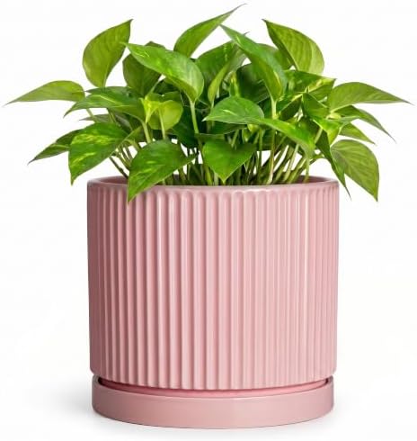 6 Inch Ceramic Flower Pots, Round Plant Pots with Saucer, Pink by Unknown