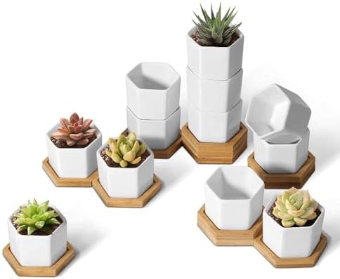 T4U Small Succulent Pots 12 Pack, Mini Flower Planters with Drainage White by T4U