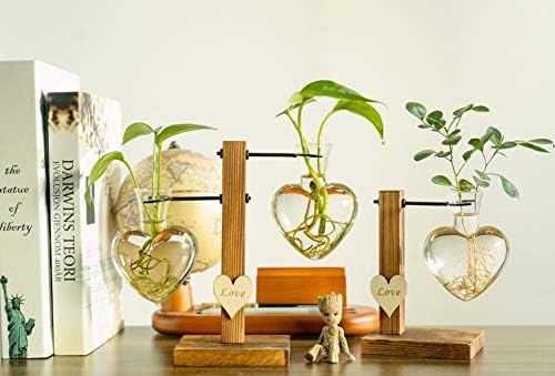 Kingbuy Hydroponic Glass Vase Vintage Desktop Plant Terrarium Planter Bulb Vase Water Planting Propagation Vase Planters Hydroponics Plants with Retro Wooden Stand Home Garden. (D(1 Heart Vase)) - Image 7