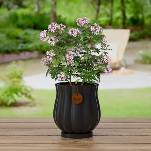 5.8" Matte Black Ceramic Plant Pot with Saucer - Image 6