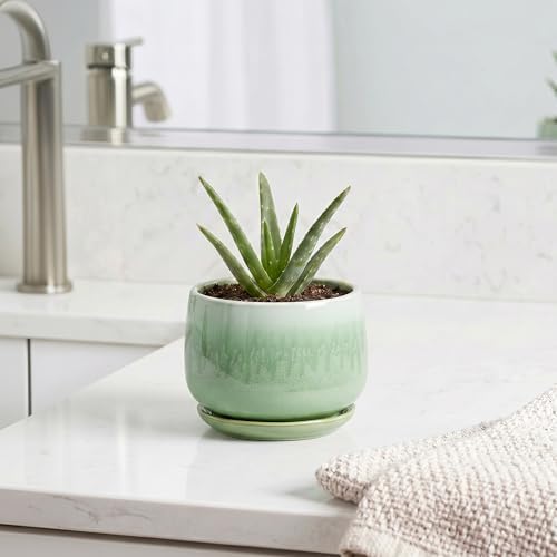 Ceramic Plant Pots - 4 Inch Pots for Plants with Drainage Hole and Saucer, Small Succulent Pot for Indoor Plants, Round Ceramic Planter, Home Office Decor, House Warming Gifts, Green - Image 5