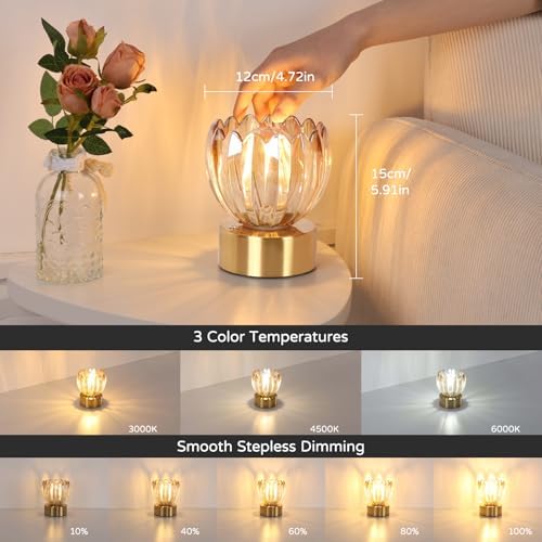 Shenmoyl Cordless Small Table Lamp with 5200mAh Battery & Touch Control, Battery Operated Tulip Table Lamp with 3 Colors, Rechargeable Mini Table Lamps for Bedsides, Bedroom, Nightstand (Amber) - Image 3