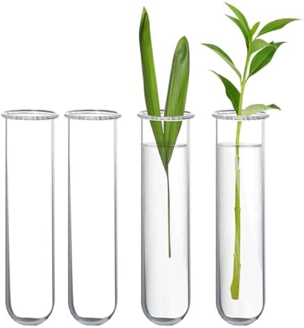 XXXFLOWER Glass Propagation Stations Accessories 4 Tube Vases by XXXFLOWER