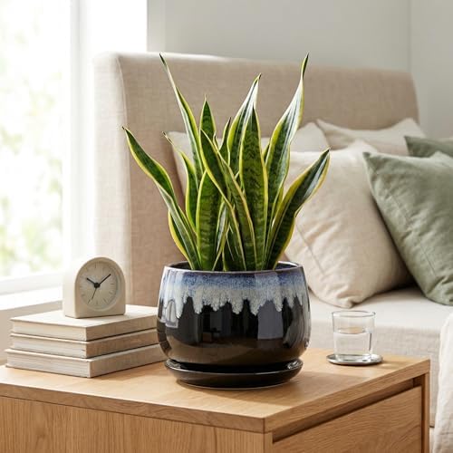 Ceramic Plant Pots 7 Inch - Ceramic Planter with Drainage Hole and Saucer, Decorative Flower Pots for Indoor Plants, Indoor Planter, House Garden Decor, Gifts for Plant Lovers, Black-Blue - Image 7