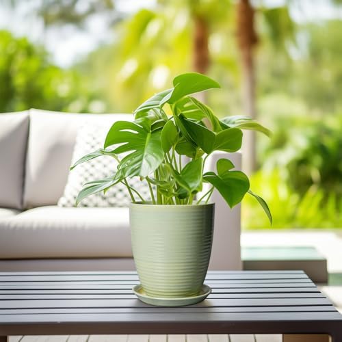 Ceramic Pots for Plants - Modern Round 8 Inch Planter with Drainage Hole and Plant Saucer for Flower Indoor Outdoor, Home Decor, House Warming Gifts, Green - Image 6