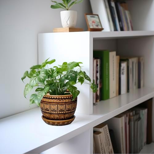 G EPGardening Succulent Pot 5.5 Inch - Ceramic Plant Pot for Indoor Plants Outdoor, Round Boho Planter with Drainage Hole and Saucer, Gifts for Plant Lovers, Office Home Garden Decor, Brown - Image 5