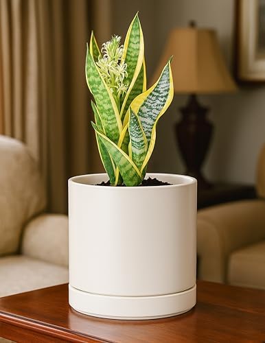 D'vine Dev 6.5 Inch Ceramic Planter Pot, Oatmeal, 94-O-C-8 - Image 2
