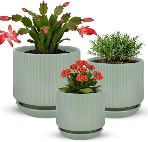 Ceramic-Flower-Pots-Sets-with-Saucer, 5/6/8 inch Small Planters for Indoor Plants with Drainage Hole, White Vertical Stripe Plant Pots for Home Decor, Outdoor Garden Pot For Succulent Cactus Herb by Xoogifae