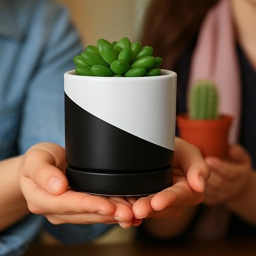 D'vine Dev 3.5 Inch Ceramic Planter Pot, Black White Diagonal, 94-O-A-K - Image 3