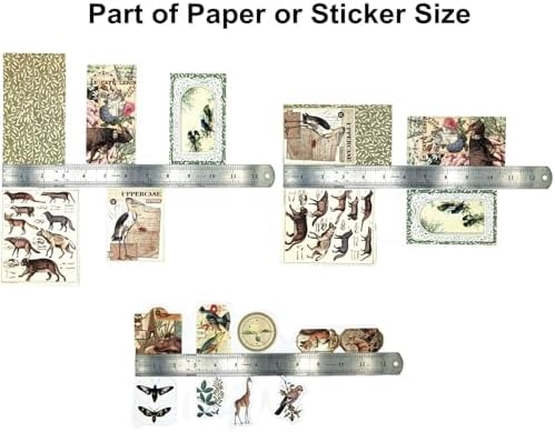 Esweny 200PCS Vintage Scrapbooking Supplies Pack, Aesthetic Scrapbook Sticker Paper Art Journaling Kit for Junk Journals,Planner,Cottagecore Decor Gifts (Green Series) - Image 4