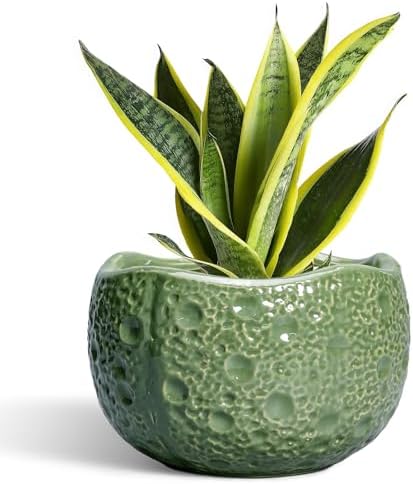 8 Inch Plant Pot - Ceramic Pots for Plants with Drainage Hole, Round Decorative Plant Pots for Indoor Outdoor, Modern Unique Flower Pot, Office Decor, Garden Gifts, Green by Thirtypot