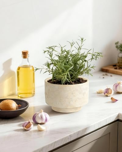 Succulent Pots, 8"+6" Plant Pots, Ceramic Planters for Indoor Plants - Image 2