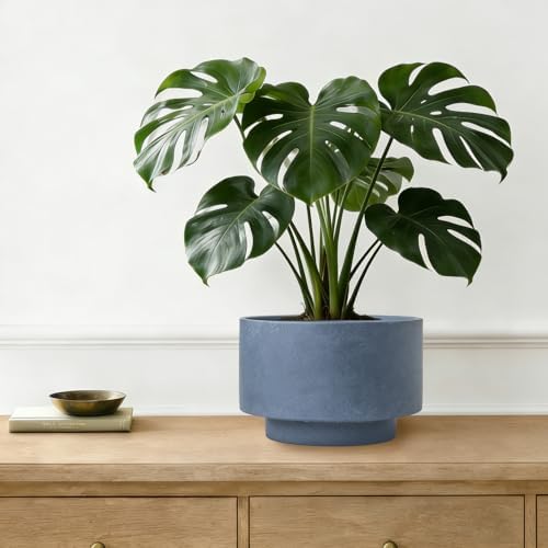 Succulent Pots, 8"+6" Plant Pots, Ceramic Planters for Indoor Plants - Image 4