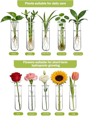 XXXFLOWER Wall Hanging Propagation Station with Wooden Stand Glass Test Tubes Tiered Planters Wall Terrarium for Home Office Plant Hanger Flower Vases Wall Decor Hydroponic Cuttings (9 Tube Vases) - Image 6